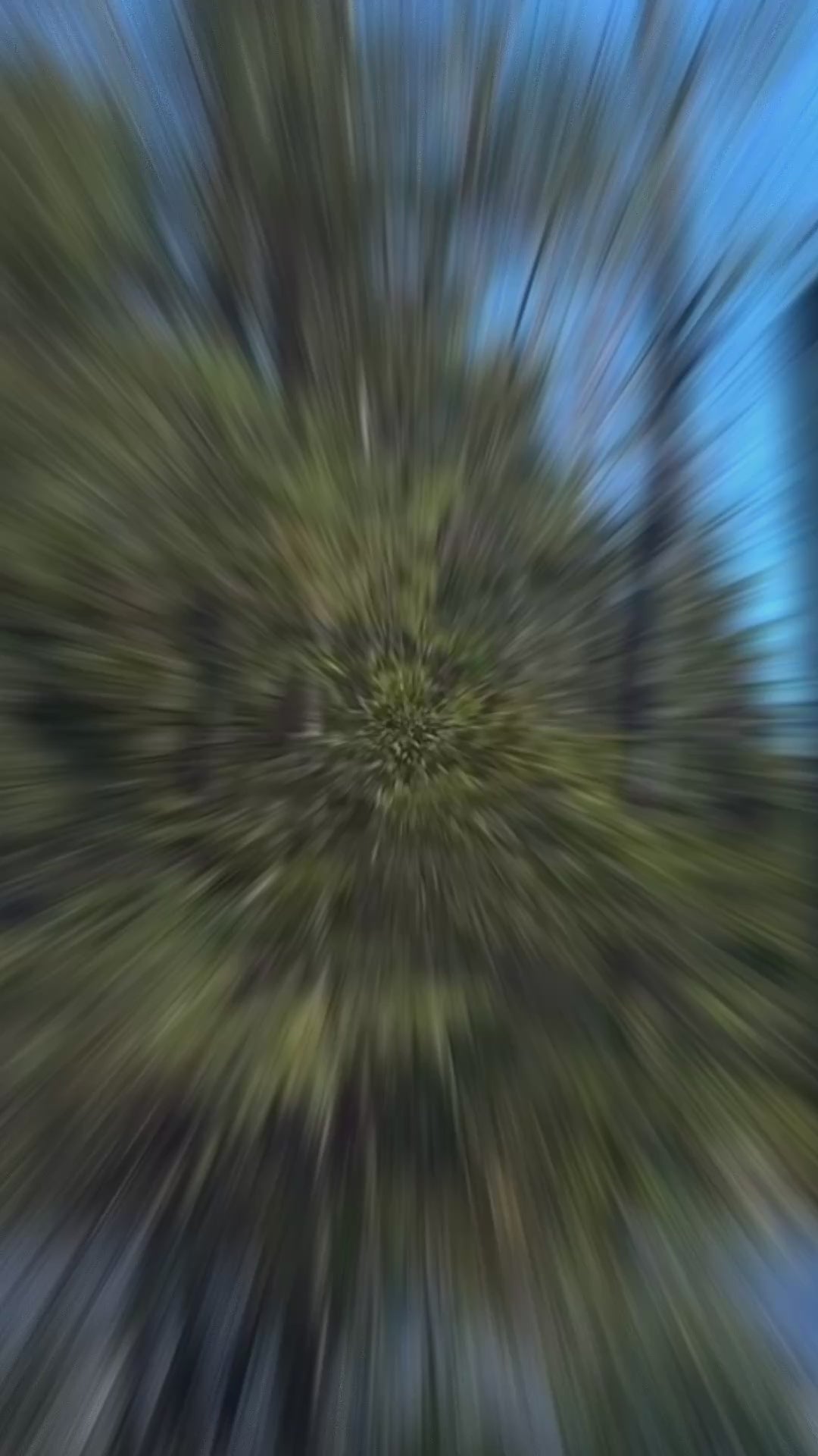 Charger la vidéo : 